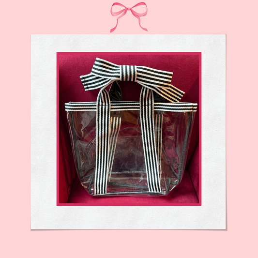 Bow Bag with Clear Pocket for Needlepoint