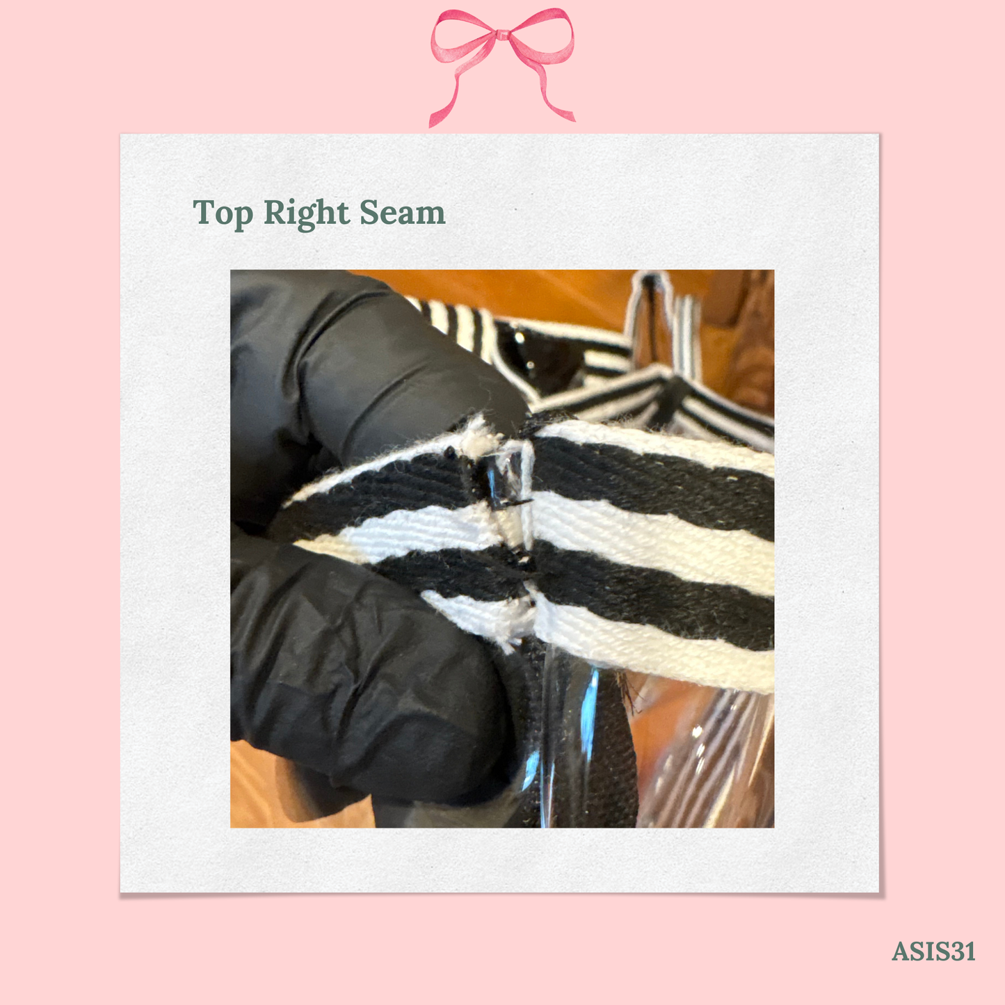 Bow Bag with Clear Pocket for Needlepoint - AS IS