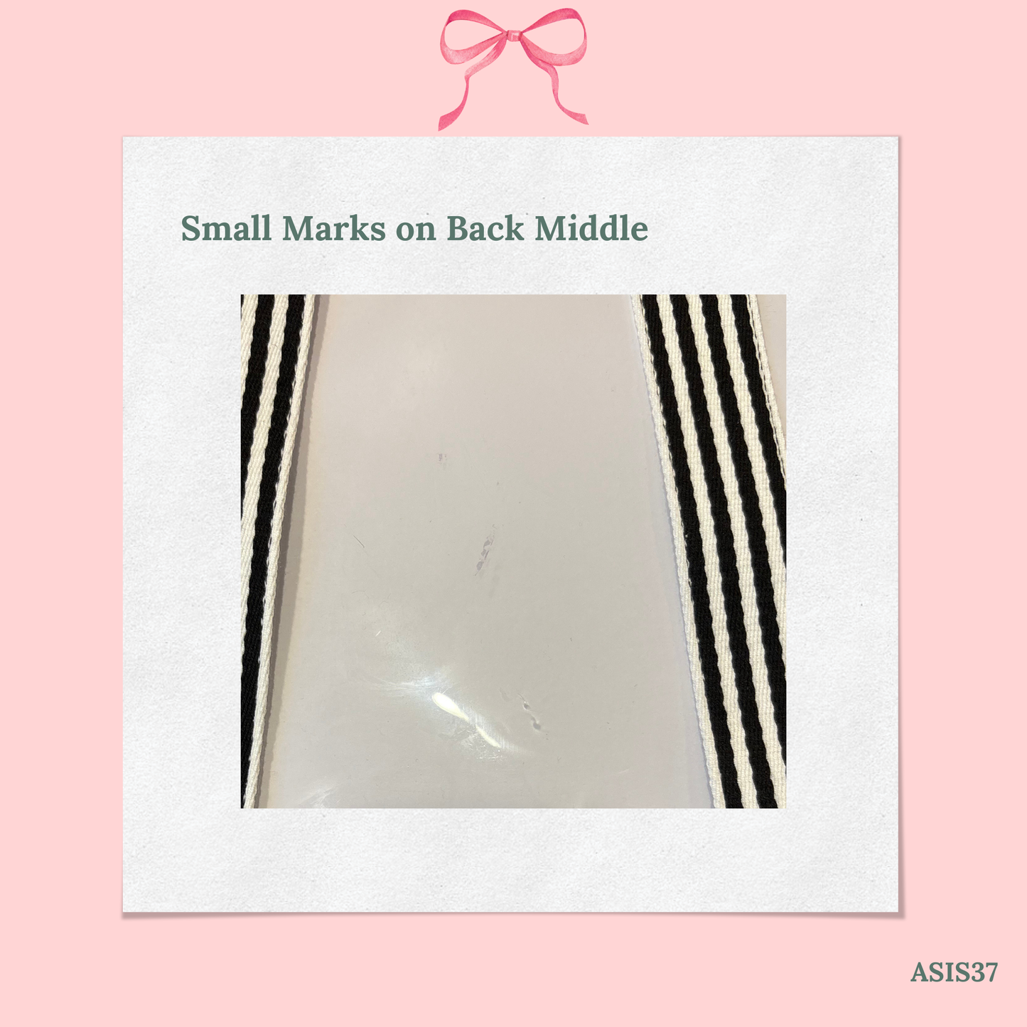 Bow Bag with Clear Pocket for Needlepoint - AS IS