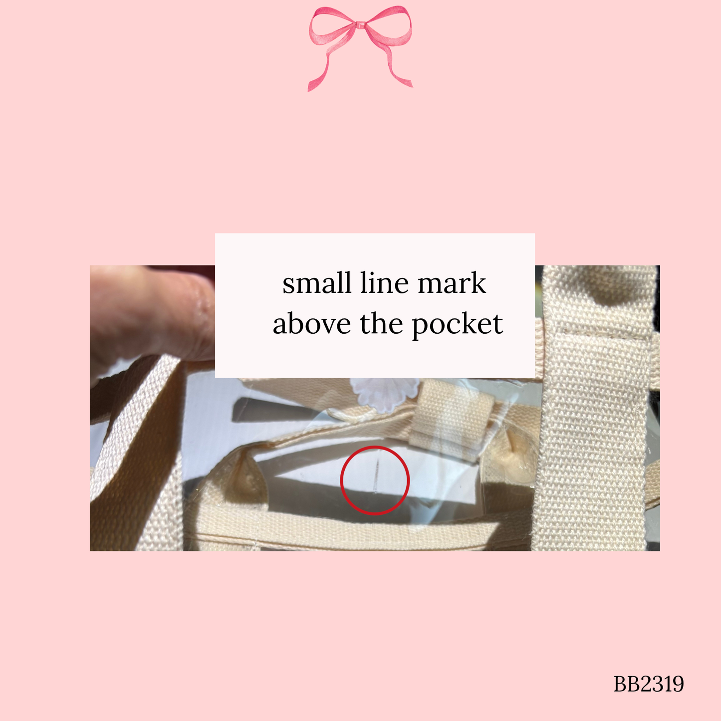 Bow Bag with Clear Pocket for Needlepoint ~ Ivory (Perfectly Imperfect)